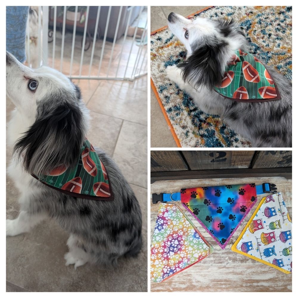 Hand Crafted Over the Collar Dog/Cat Bandanas Set of 3, Size Small